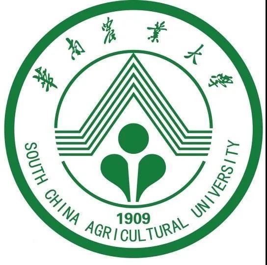 華南農(nóng)業(yè)大學(xué)材料與能源學(xué)院胡傳雙院長(zhǎng)一行到訪華洲木業(yè)參觀交流(圖3)