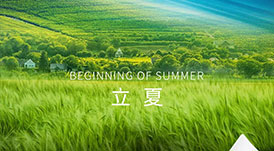 華洲木業(yè) | 春意藏，夏初長